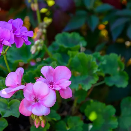 Sloneczne Krynica Zdroj
