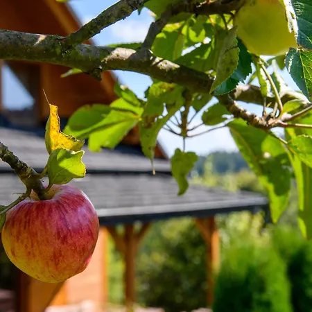 شقة Sloneczne كرينيتسا زدروي